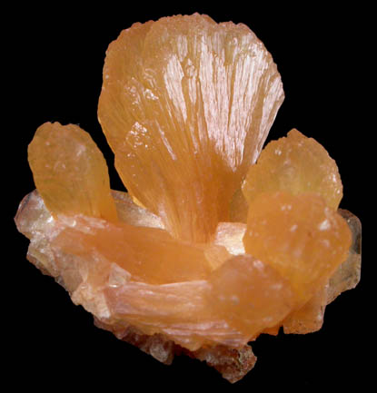 Stilbite from Bay of Fundy Zeolite Deposits, Nova Scotia, Canada