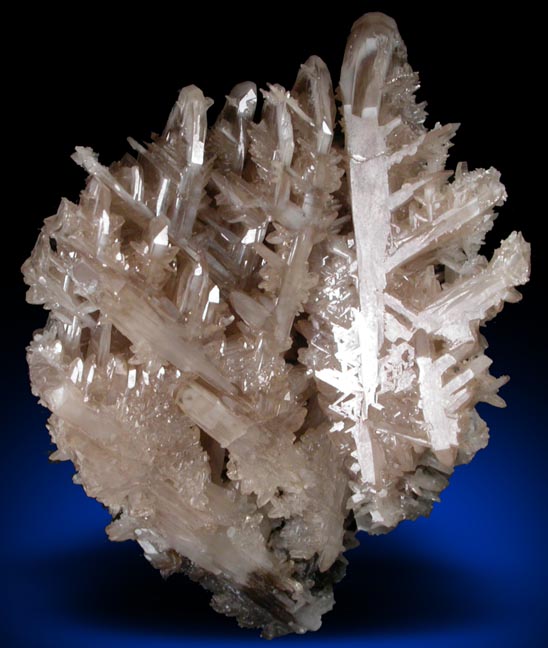 Cerussite (reticulated twinned crystals) from Tsumeb Mine, Otavi-Bergland District, Oshikoto, Namibia