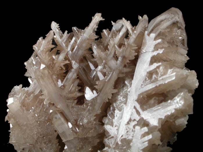 Cerussite (reticulated twinned crystals) from Tsumeb Mine, Otavi-Bergland District, Oshikoto, Namibia