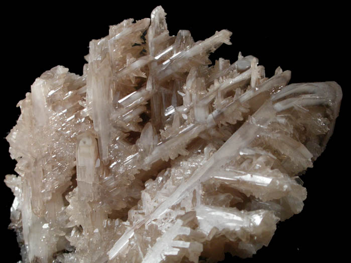 Cerussite (reticulated twinned crystals) from Tsumeb Mine, Otavi-Bergland District, Oshikoto, Namibia