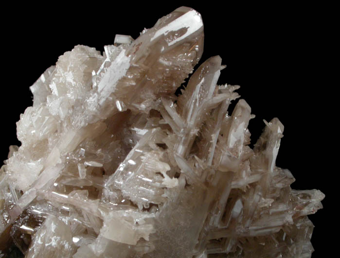 Cerussite (reticulated twinned crystals) from Tsumeb Mine, Otavi-Bergland District, Oshikoto, Namibia