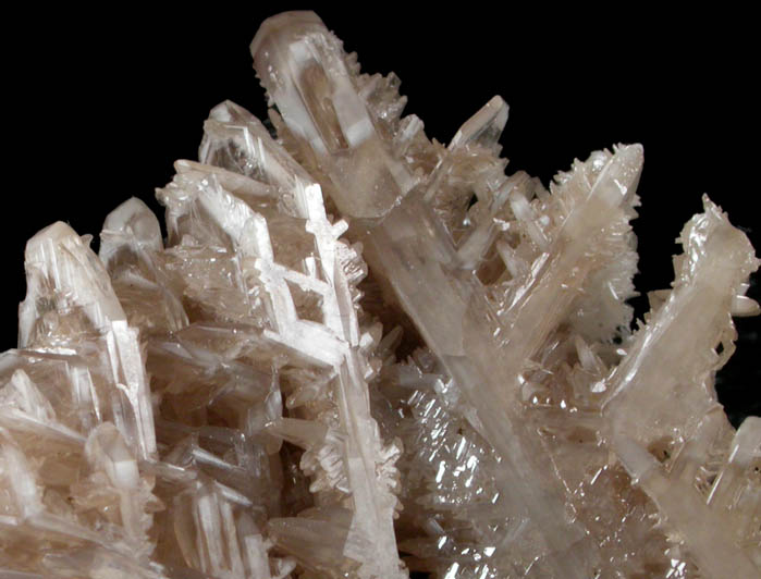 Cerussite (reticulated twinned crystals) from Tsumeb Mine, Otavi-Bergland District, Oshikoto, Namibia