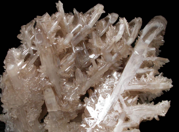 Cerussite (reticulated twinned crystals) from Tsumeb Mine, Otavi-Bergland District, Oshikoto, Namibia