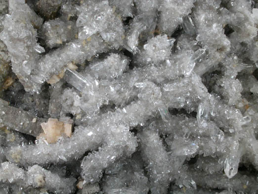 Quartz pseudomorphs after Coral from Maye Quarry, Aughamore, County Sligo, Ireland