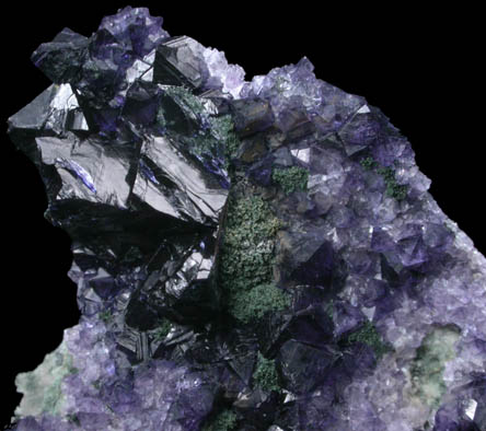 Fluorite with Chlorite from Lettermuckoo (Mickey Tess) Quarry, Kinvarra, Connemara, County Galway, Ireland