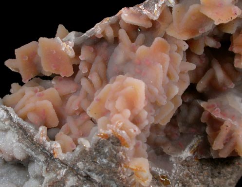 Wulfenite coated with drusy Quartz on Hemimorphite from Finch Mine (Barking Spider Mine), north of Hayden, Banner District, Gila County, Arizona