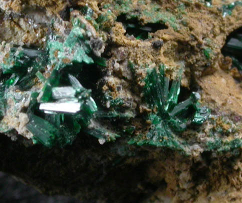 Atacamite from Tanunda, Mount Lofty Range, South Australia, Australia