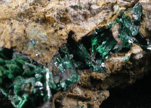 Atacamite from Tanunda, Mount Lofty Range, South Australia, Australia