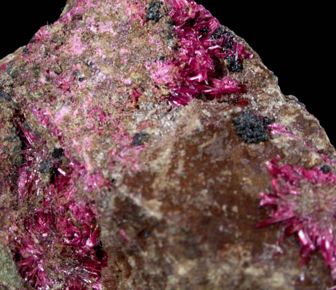Erythrite from Sara Alicia Mine, San Bernardo, Sonora, Mexico
