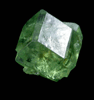 Andradite var. Demantoid Garnet with Serpentine from Val d'Ala, Piemonte, Italy