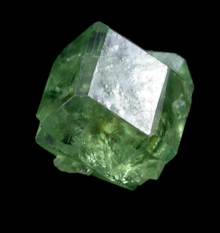 Andradite var. Demantoid Garnet with Serpentine from Val d'Ala, Piemonte, Italy