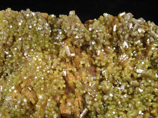 Pyromorphite from Bunker Hill Mine, Deadwood-Jersey Vein, Coeur d'Alene District, Shoshone County, Idaho