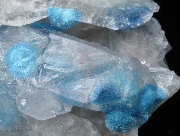 Shattuckite on Quartz from Kandesei, Kaokoveld, Namibia