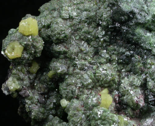 Mimetite and Beta-Duftite from Mount Bonnie Mine, Northern Territory, Australia