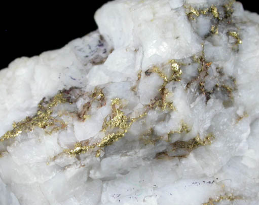 Gold in Quartz from Sixteen-To-One Mine (16 to 1 Mine), Alleghany, 35 km NE of Grass Valley, Sierra County, California