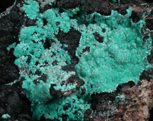 Aurichalcite and Smithsonite from Kelly Mine, Magdalena District, Socorro County, New Mexico