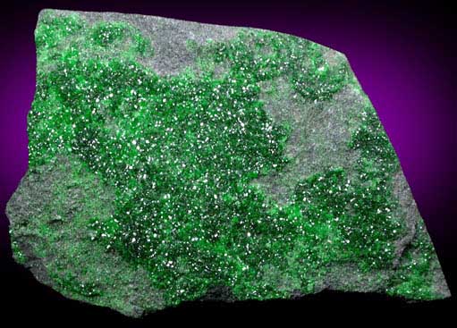 Uvarovite Garnet from Saranovskoye Mine, Sarany, Permskaya Oblast', Ural Mountains, Russia (Type Locality for Uvarovite)