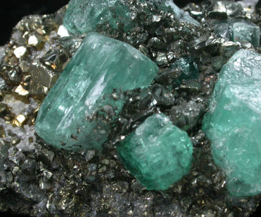 Beryl var. Emerald in Pyrite (fake) from Colombia