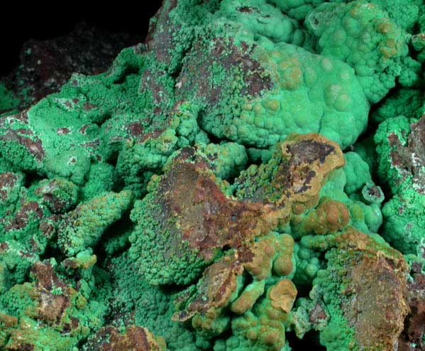 Malachite from Planet Mine, La Paz County, Arizona