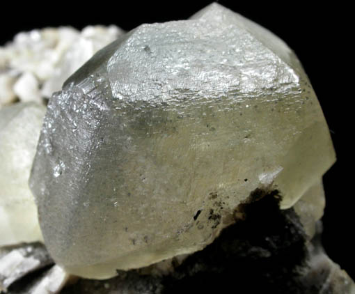 Calcite with Marcasite inclusions with Dolomite from Eastern Rock Products Quarry (Benchmark Quarry), St. Johnsville, Montgomery County, New York