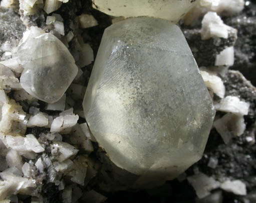 Calcite with Marcasite inclusions with Dolomite from Eastern Rock Products Quarry (Benchmark Quarry), St. Johnsville, Montgomery County, New York