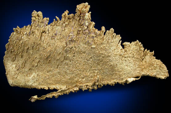 Gold from Round Mountain Gold Mine, 71.5 km north of Tonopah, Nye County, Nevada