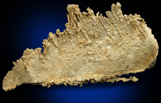 Gold from Round Mountain Gold Mine, 71.5 km north of Tonopah, Nye County, Nevada