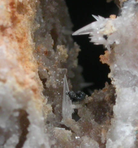 Penfieldite with Boleite from Sierra Gorda District, Antofagasta, Chile