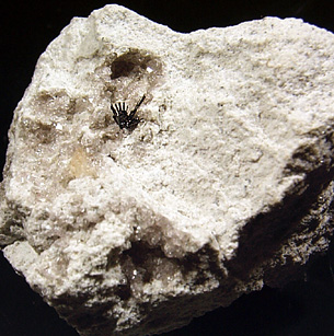 Pseudobrookite from Thomas Range, Juab County, Utah