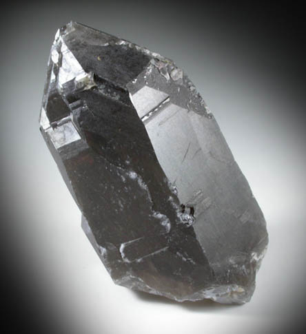 Quartz var. Smoky Quartz (Dauphin Law Twins) with Muscovite from Moat Mountain, west of North Conway, Carroll County, New Hampshire