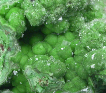 Conichalcite with Calcite from Tsumeb Mine, Otavi-Bergland District, Oshikoto, Namibia