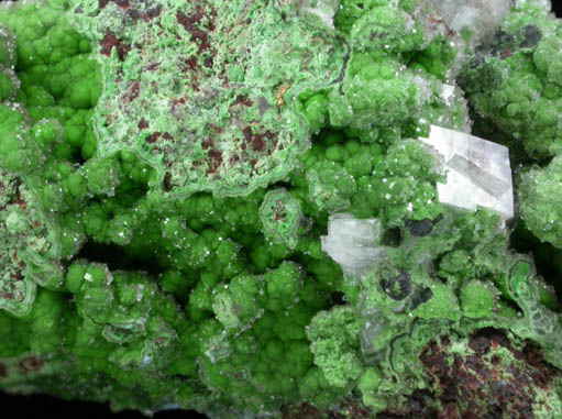 Conichalcite with Calcite from Tsumeb Mine, Otavi-Bergland District, Oshikoto, Namibia