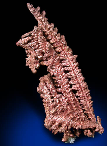 Copper (crystallized) from New Cornelia Mine, Ajo, Pima County, Arizona