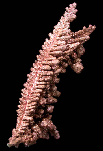 Copper (crystallized) from New Cornelia Mine, Ajo, Pima County, Arizona