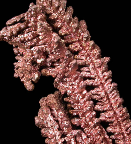 Copper (crystallized) from New Cornelia Mine, Ajo, Pima County, Arizona