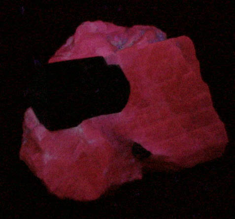 Fluoro-richterite (Fluororichterite) from Wilberforce, Ontario, Canada