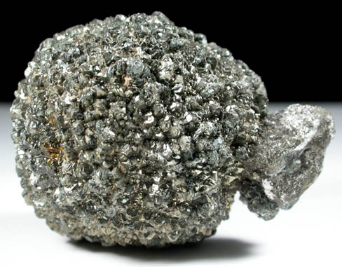 Pyrite from Lucas County, Ohio