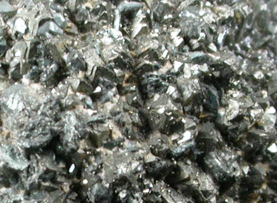 Pyrite from Lucas County, Ohio