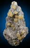 Sphalerite on Calcite-Dolomite from Pugh Quarry, 6 km NNW of Custar, Wood County, Ohio