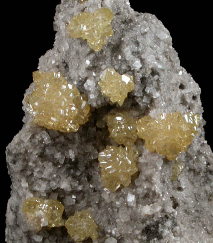 Sphalerite on Calcite-Dolomite from Pugh Quarry, 6 km NNW of Custar, Wood County, Ohio