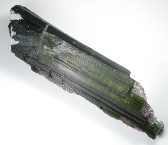 Elbaite Tourmaline partially altered to Lepidolite from Minas Gerais, Brazil
