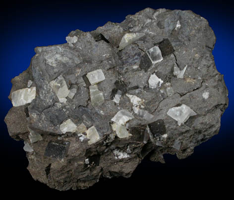 Shortite in Shale from FMC Westvaco Mine, Green River Formation, west of Green River, Sweetwater County, Wyoming (Type Locality for Shortite)