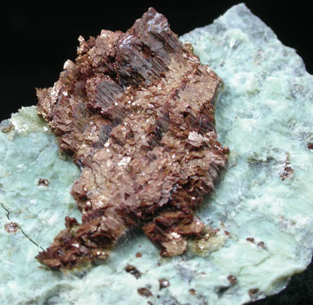 Pyroaurite on Serpentine from Setters Quarry, Shetland Islands, Scotland