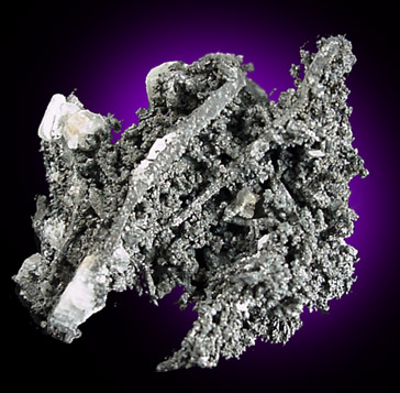 Silver with Argentite from Andres del Rio District, Batopilas, Chihuahua, Mexico