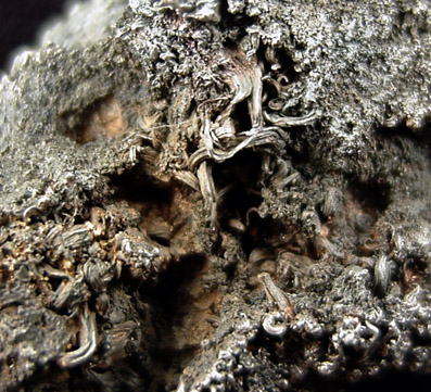 Silver with Argentite from Andres del Rio District, Batopilas, Chihuahua, Mexico