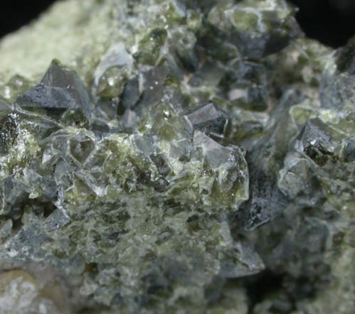 Diopside-Augite var. Fassaite from Case Collina, Pitigliano, Grosseto Province, Tuscany, Italy