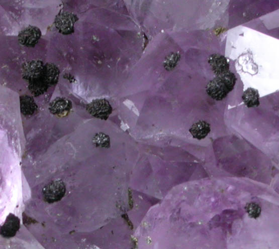 Quartz var. Amethyst with Hematite from Upper New Street Quarry, Paterson, Passaic County, New Jersey