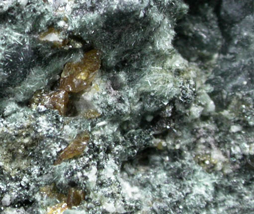 Titanite, Actinolite, Prehnite, Bornite from Fairfax Quarry, 6.4 km west of Centreville, Fairfax County, Virginia