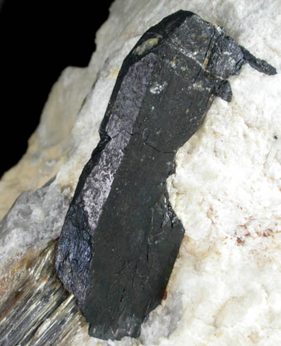 Columbite-(Fe) in Albite with Muscovite from Branchville Quarry, Redding, Fairfield County, Connecticut