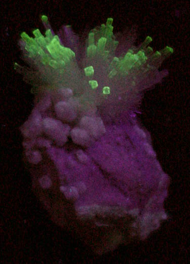 Natrolite with Apophyllite on Stilbite from Route 57 zeolite occurrence, Georgetown, Fairfield County, Connecticut